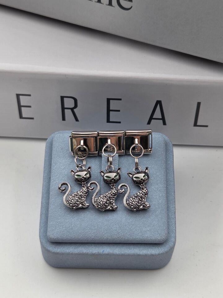 NMT Charm // CHARM-1138