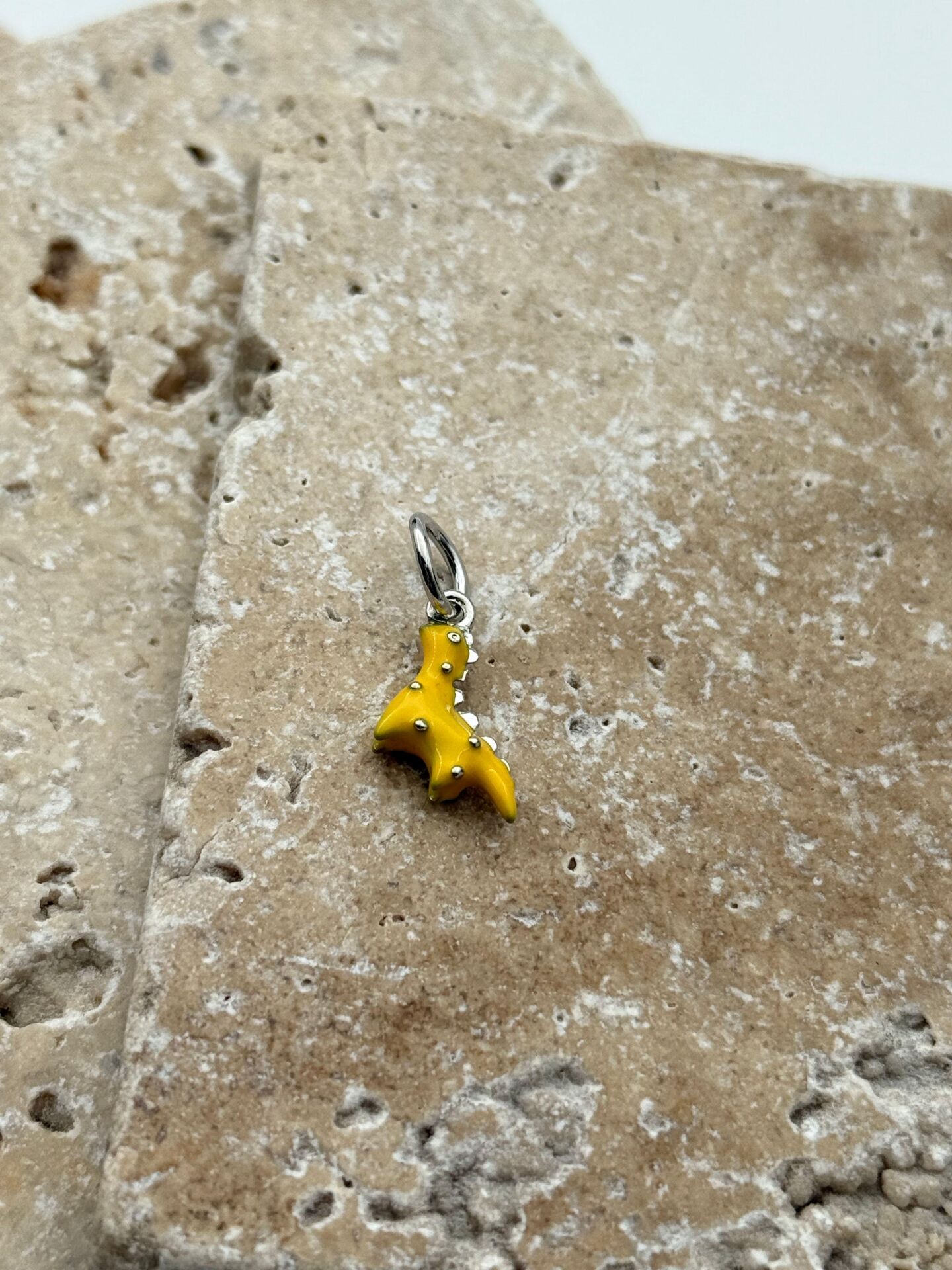 PNDR Charm // CHARM-757