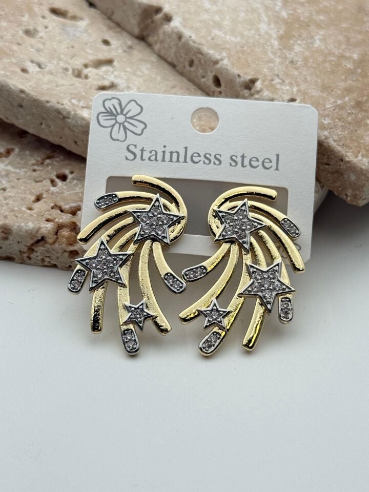 Steel Earring // EARRING-3850