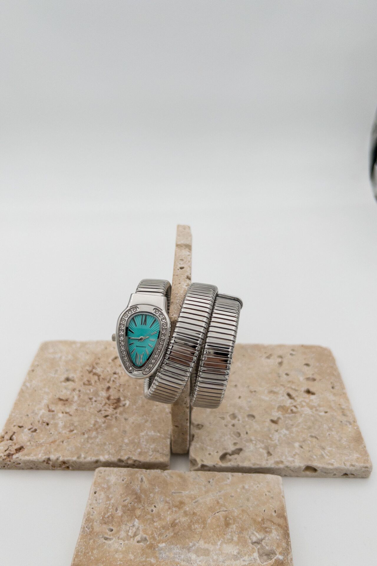 Steel Women's Watch // SAAT-077