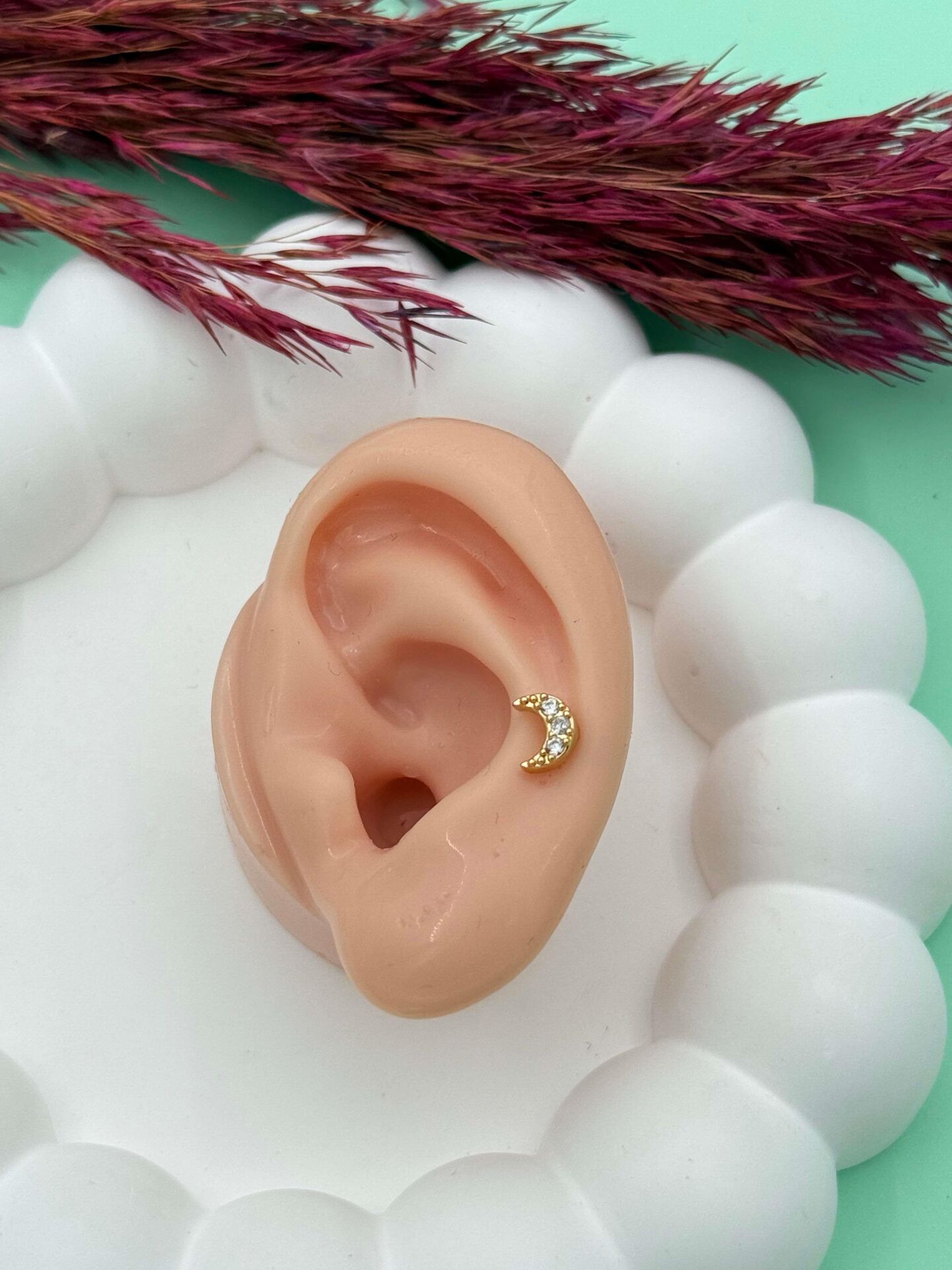 Steel Tragus // TRAG-015