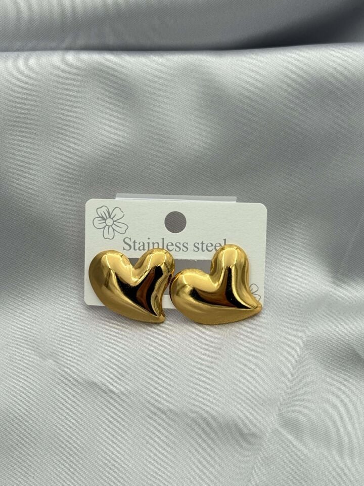 Steel Earring // EARRING-3593