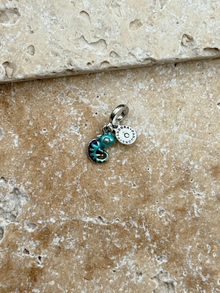 PNDR Charm // CHARM-861