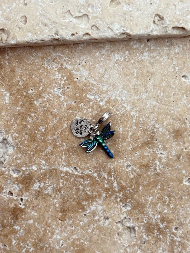 PNDR-Anhänger // CHARM-880