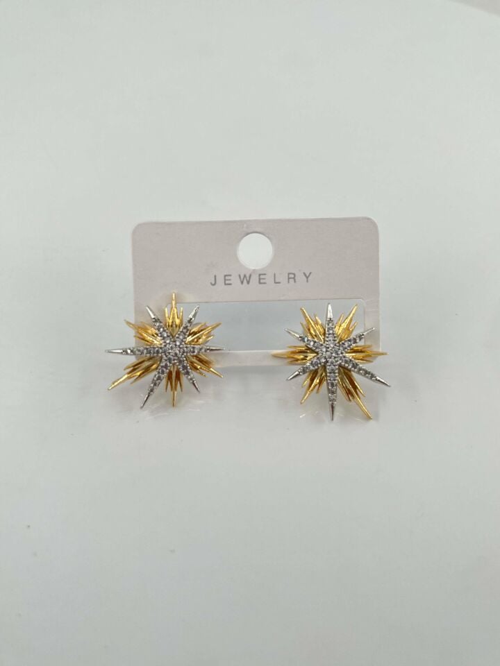 VIP Earrings // IMPORT-2817