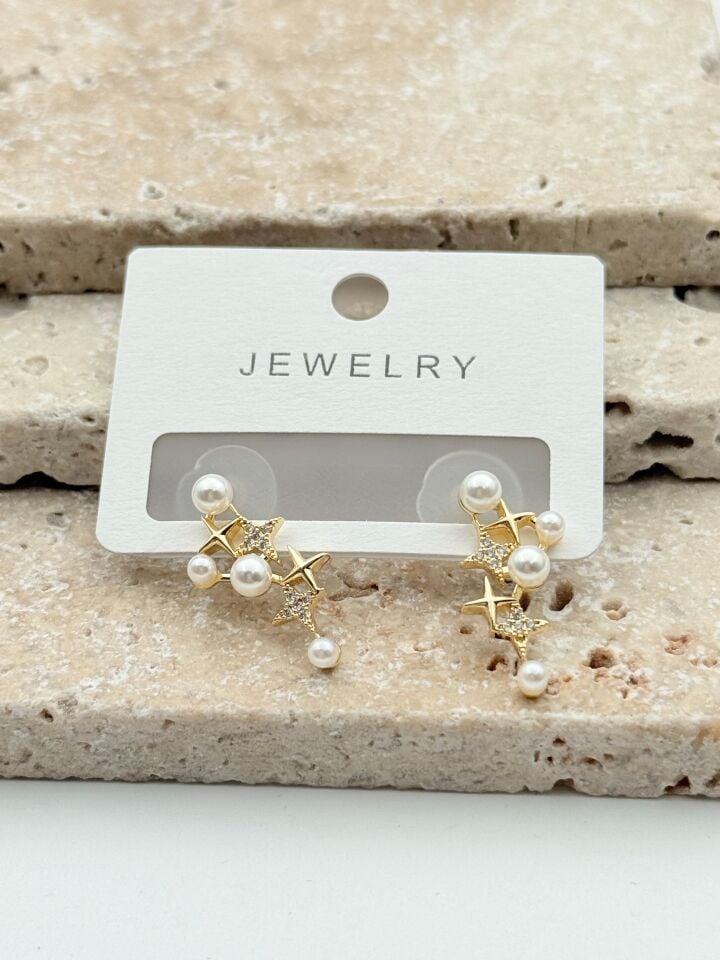 VIP Earrings // IMPORT-3192