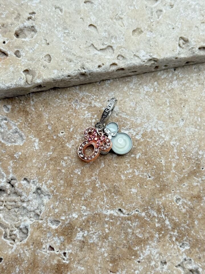 PNDR Charm // CHARM-893