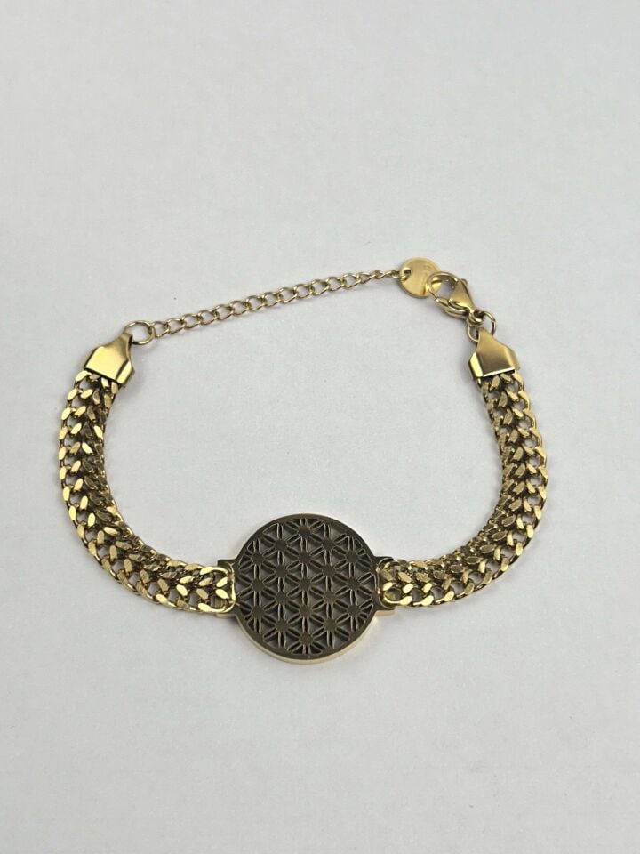 Steel Bracelet // WRIST-3346