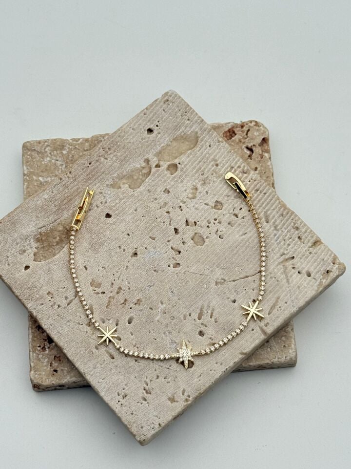 VIP 14K Bileklik // BILEK-6681