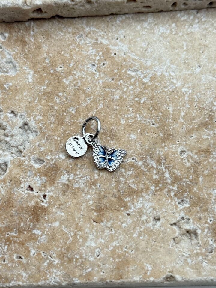 PNDR Charm // CHARM-945