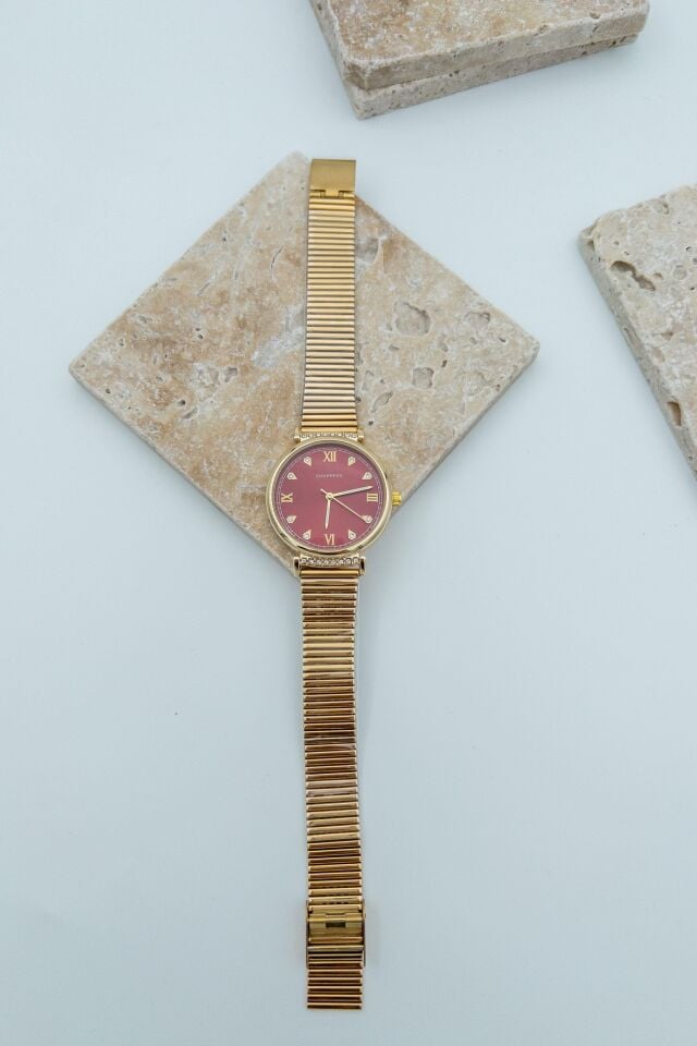 Steel Women's Watch // SAAT-010