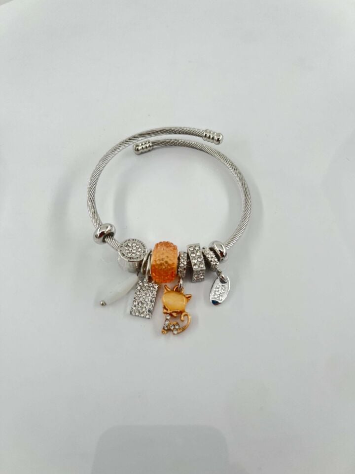 Çelik PNDR Bileklik // PANDORA-1014