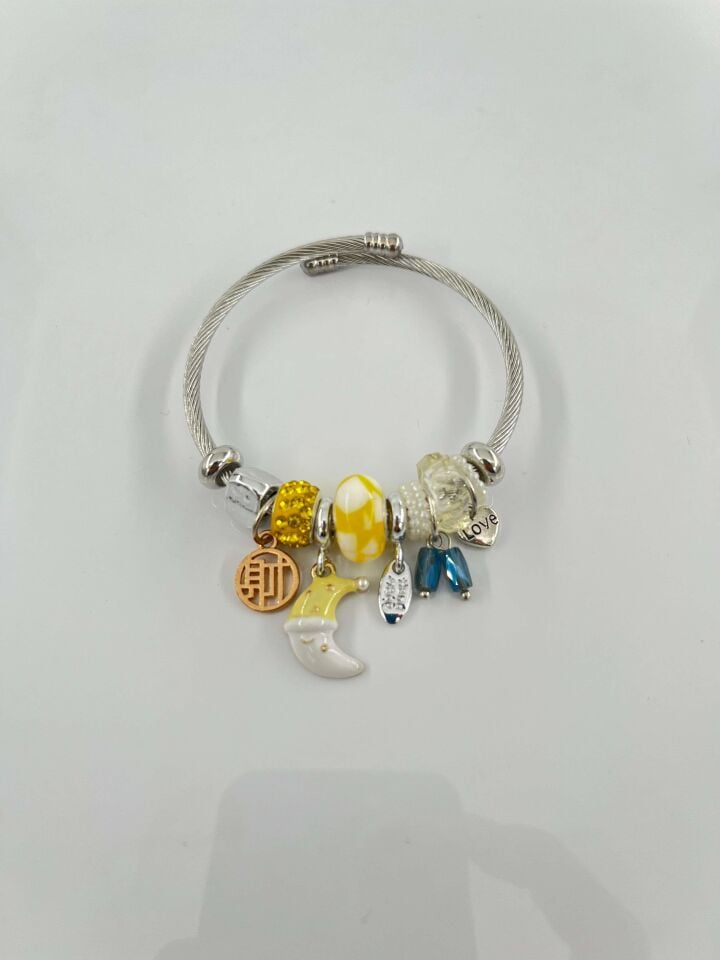 Çelik PNDR Bileklik // PANDORA-1018