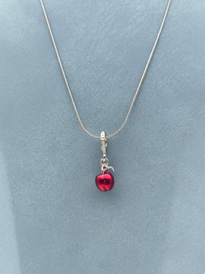 Çelik Kolye 45cm // KOLYE-6528