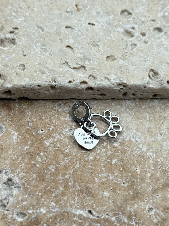 PNDR-Charm // CHARM-776