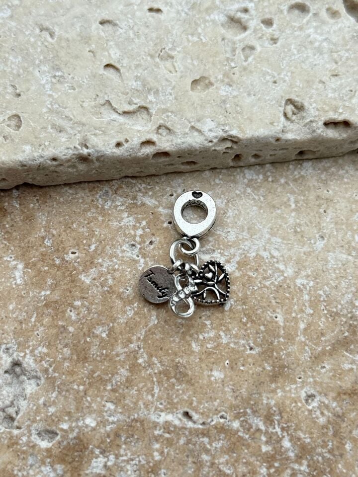 PNDR-Charm // CHARM-782