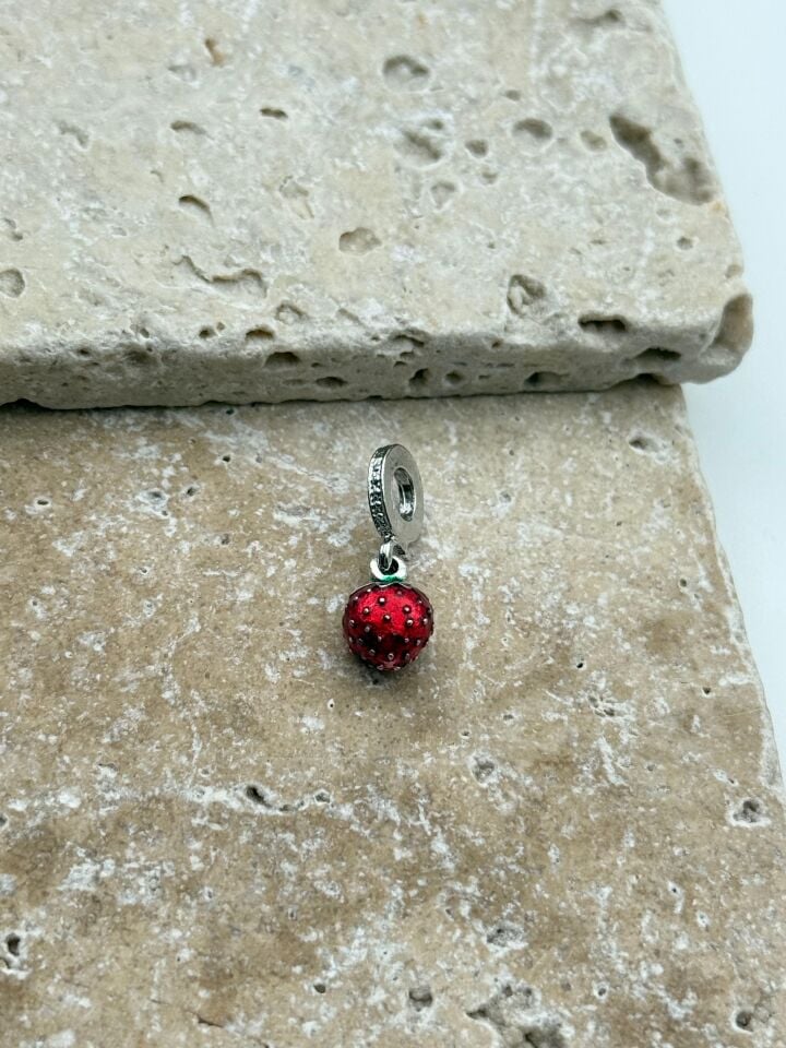 PNDR Charm // CHARM-817