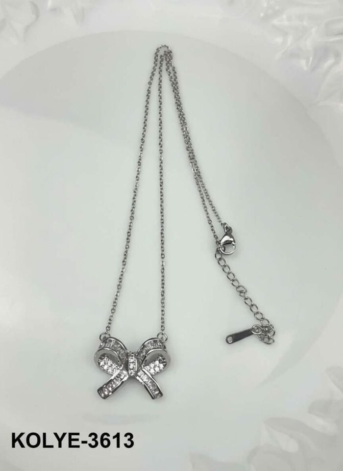 Çelik Kolye 45cm // KOLYE-3613