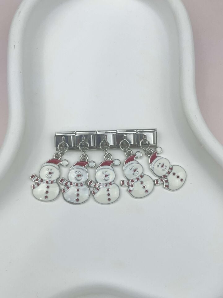 NMT Charm // CHARM-316