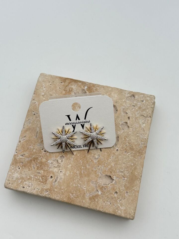 VIP Küpe // KÜPE-4170