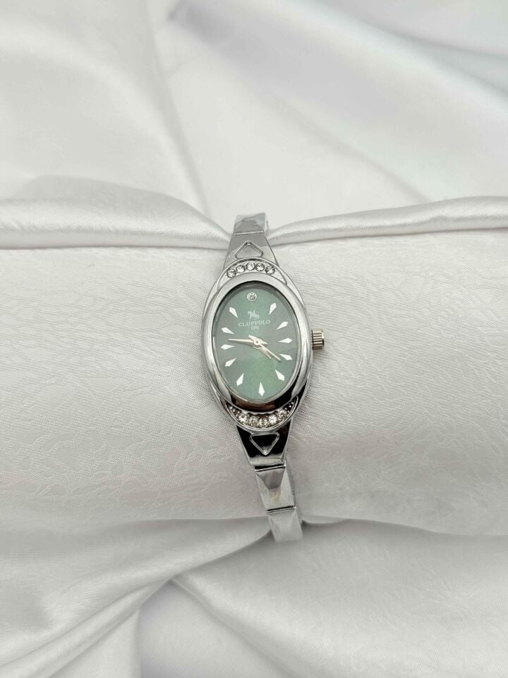 Çelik Kadın Saat // SAAT-765