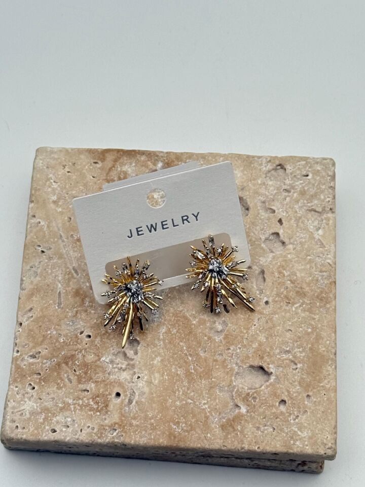 VIP Küpe // KÜPE-4241