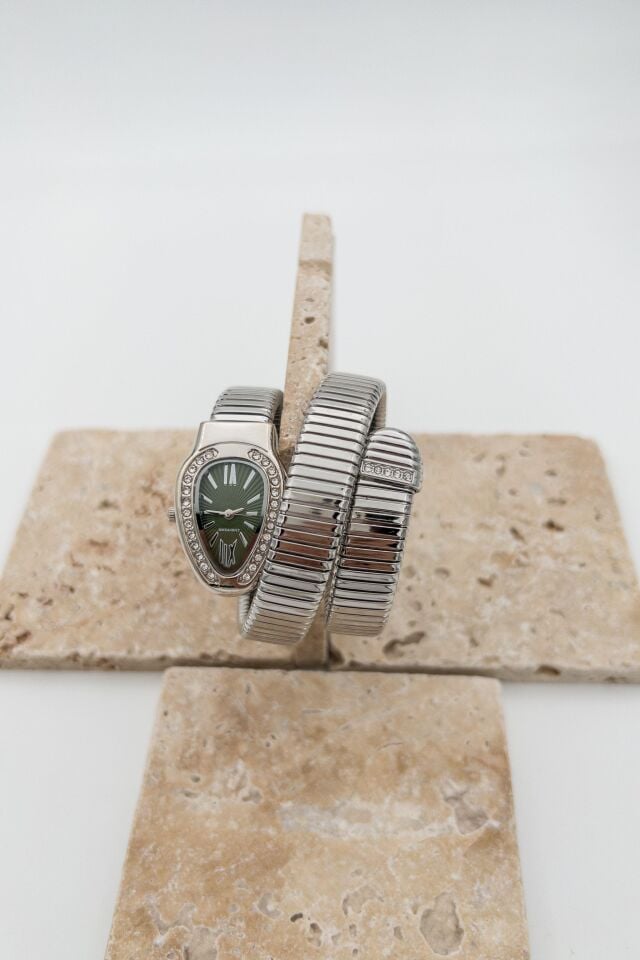 Steel Women's Watch // SAAT-072