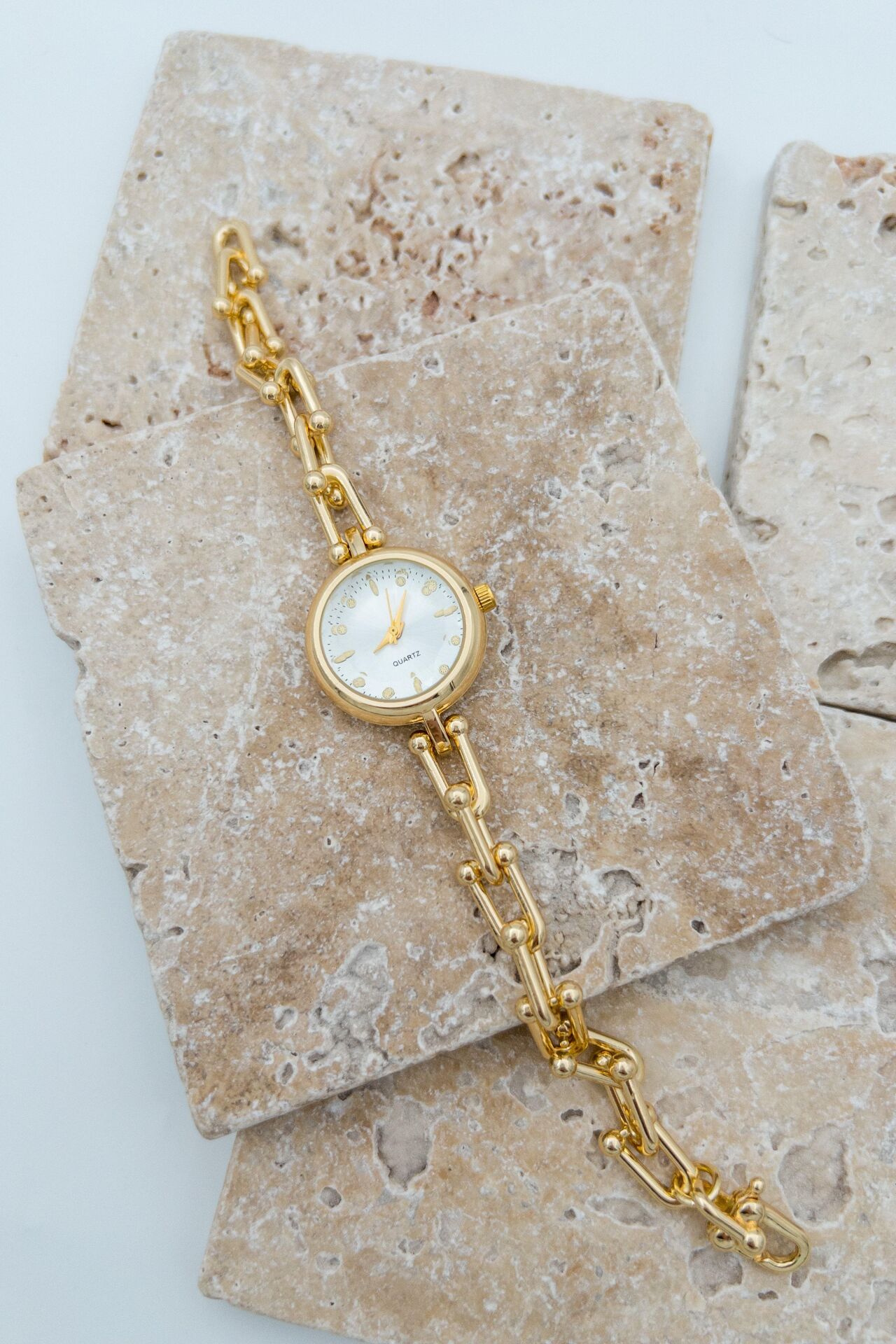 Steel Women's Watch // SAAT-067