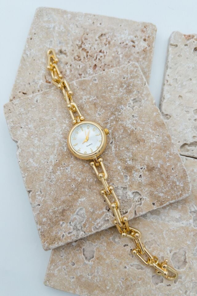 Steel Women's Watch // SAAT-067