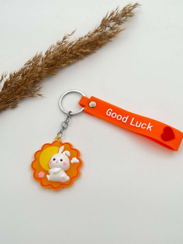 Figured Keychain // ANH-129