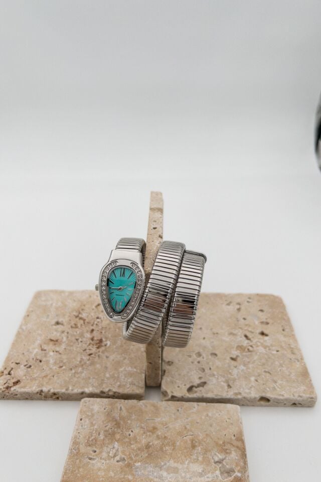 Steel Women's Watch // SAAT-077
