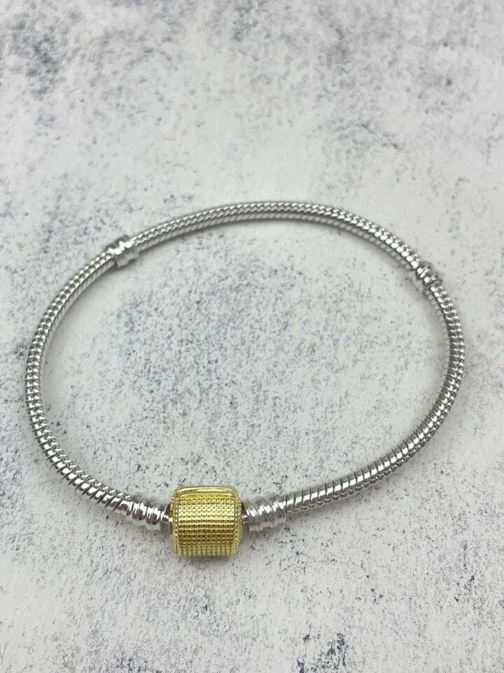 Steel Bracelet // WRIST-2225
