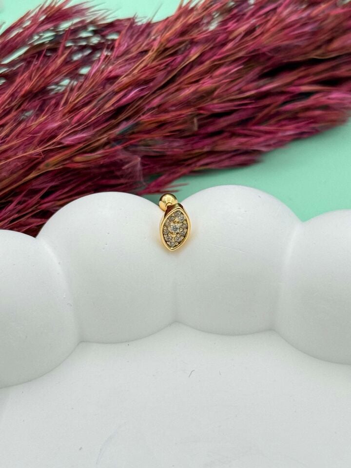 Steel Tragus // TRAG-042