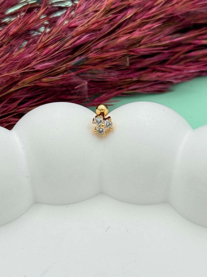Steel Tragus // TRAG-045
