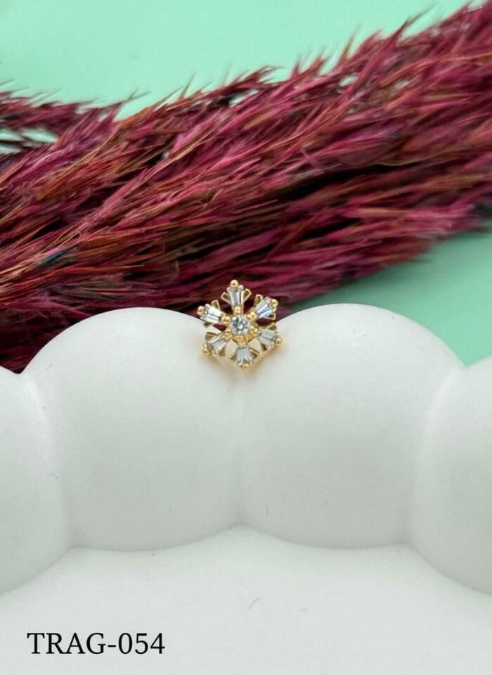 Steel Tragus // TRAG-054