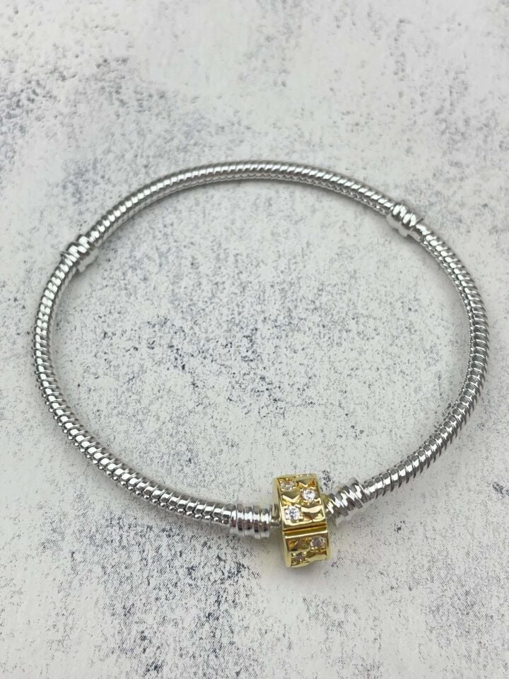 Steel Bracelet // WRIST-2240