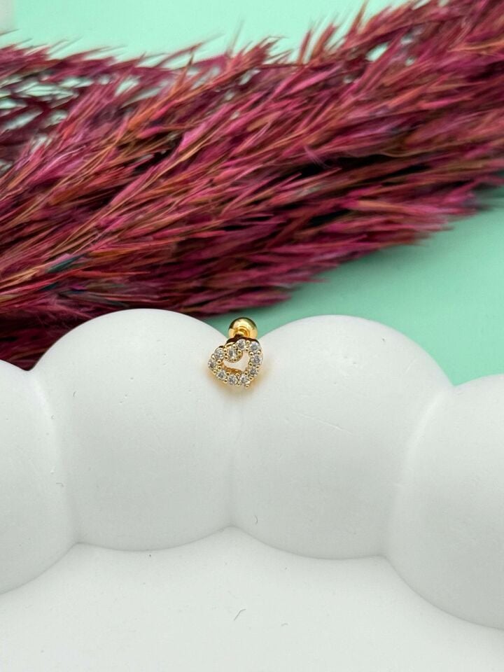Steel Tragus // TRAG-060