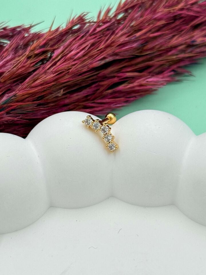 Steel Tragus // TRAG-070