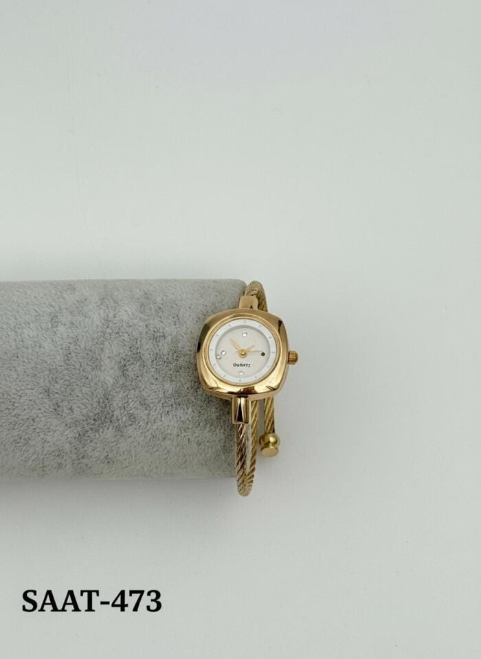 Çelik Kadın Saat // SAAT-473