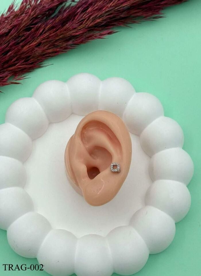 Çelik Tragus // TRAG-002