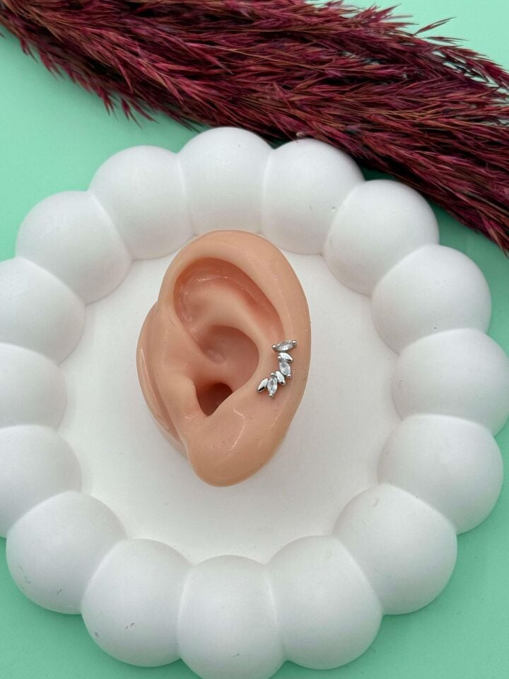Çelik Tragus // TRAG-003