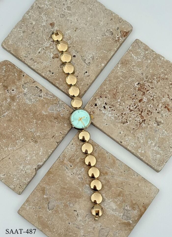 Çelik Kadın Saat // SAAT-487