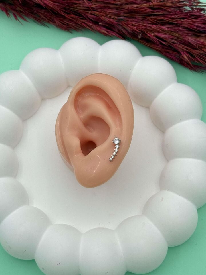 Çelik Tragus // TRAG-004