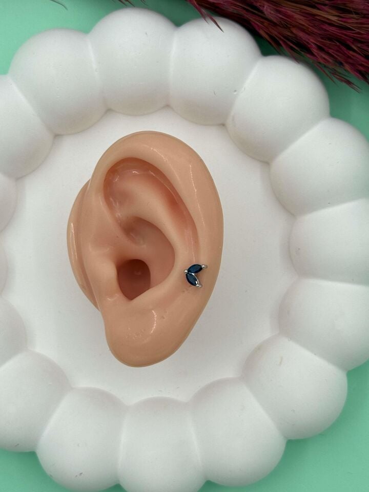 Çelik Tragus // TRAG-007