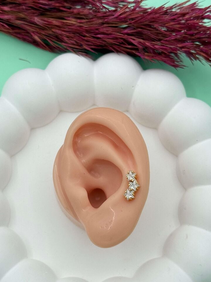 Çelik Tragus // TRAG-009
