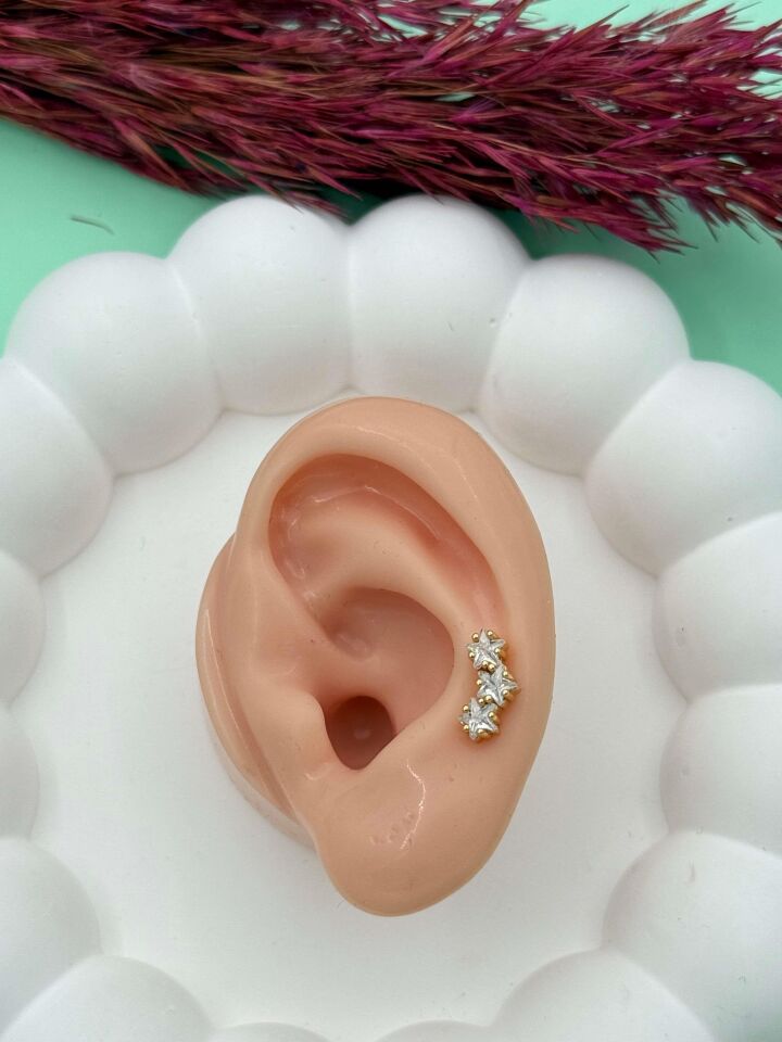 Çelik Tragus // TRAG-009