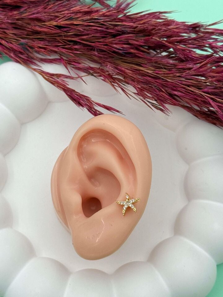 Çelik Tragus // TRAG-010