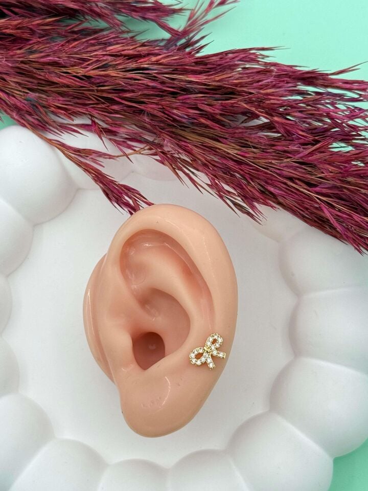 Çelik Tragus // TRAG-011