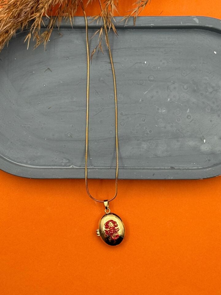 Stahl-Cover-Halskette 45cm // NECKLACE-5549