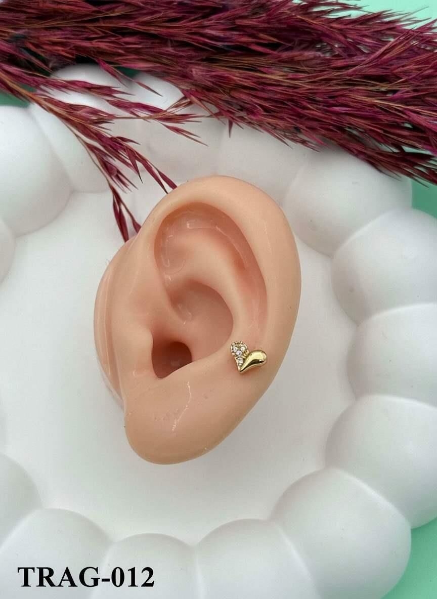 Çelik Tragus // TRAG-012